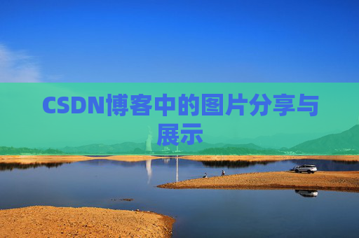 CSDN博客中的图片分享与展示